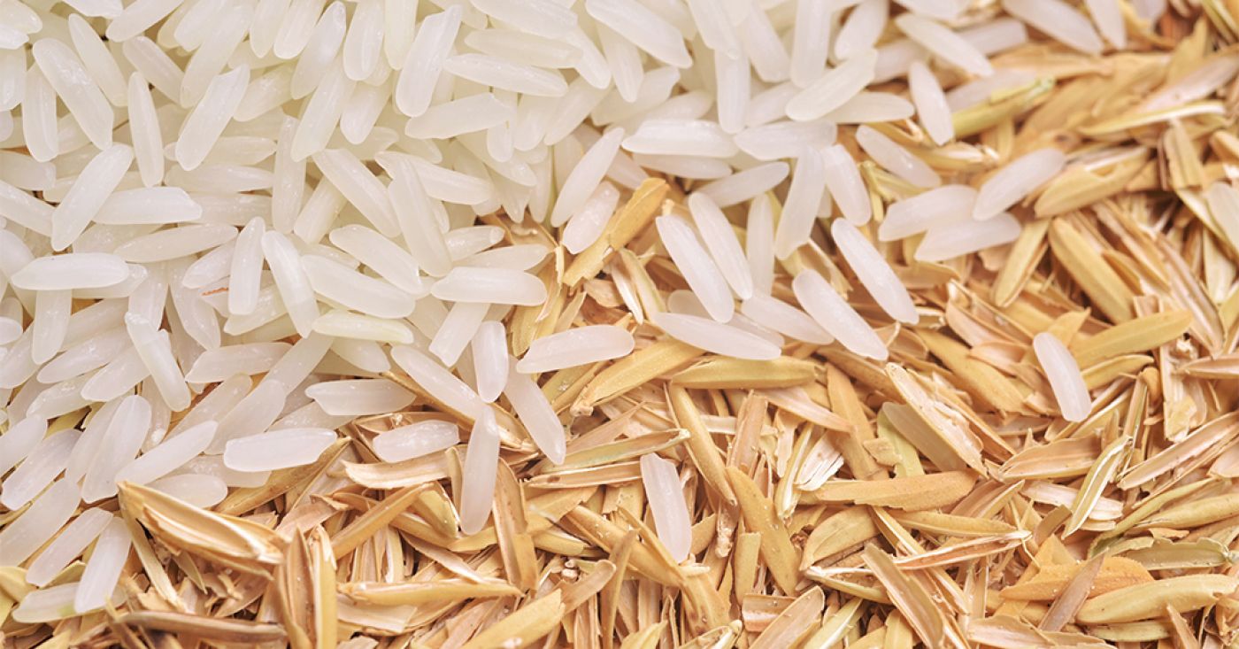 Arroz Montsià utiliza sus cáscaras de arroz para sustituir el plástico