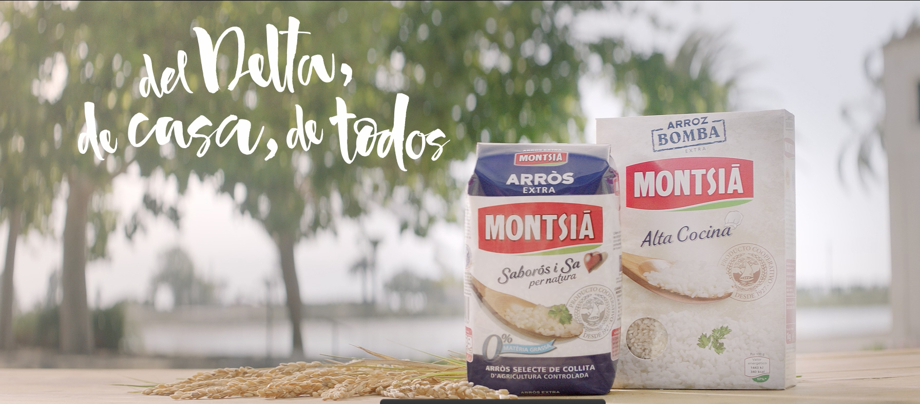 Montsià rice, from the Delta to your TV