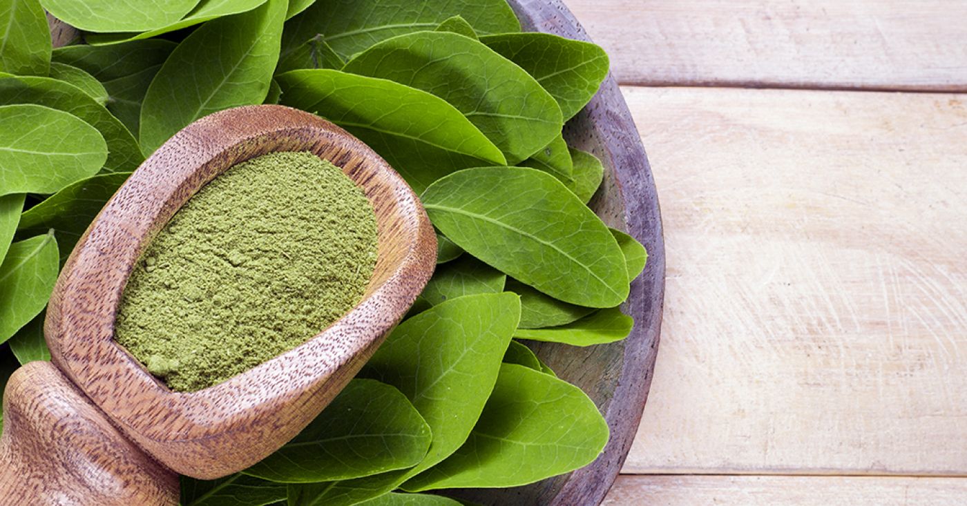 Moringa is your ally to get back into the routine