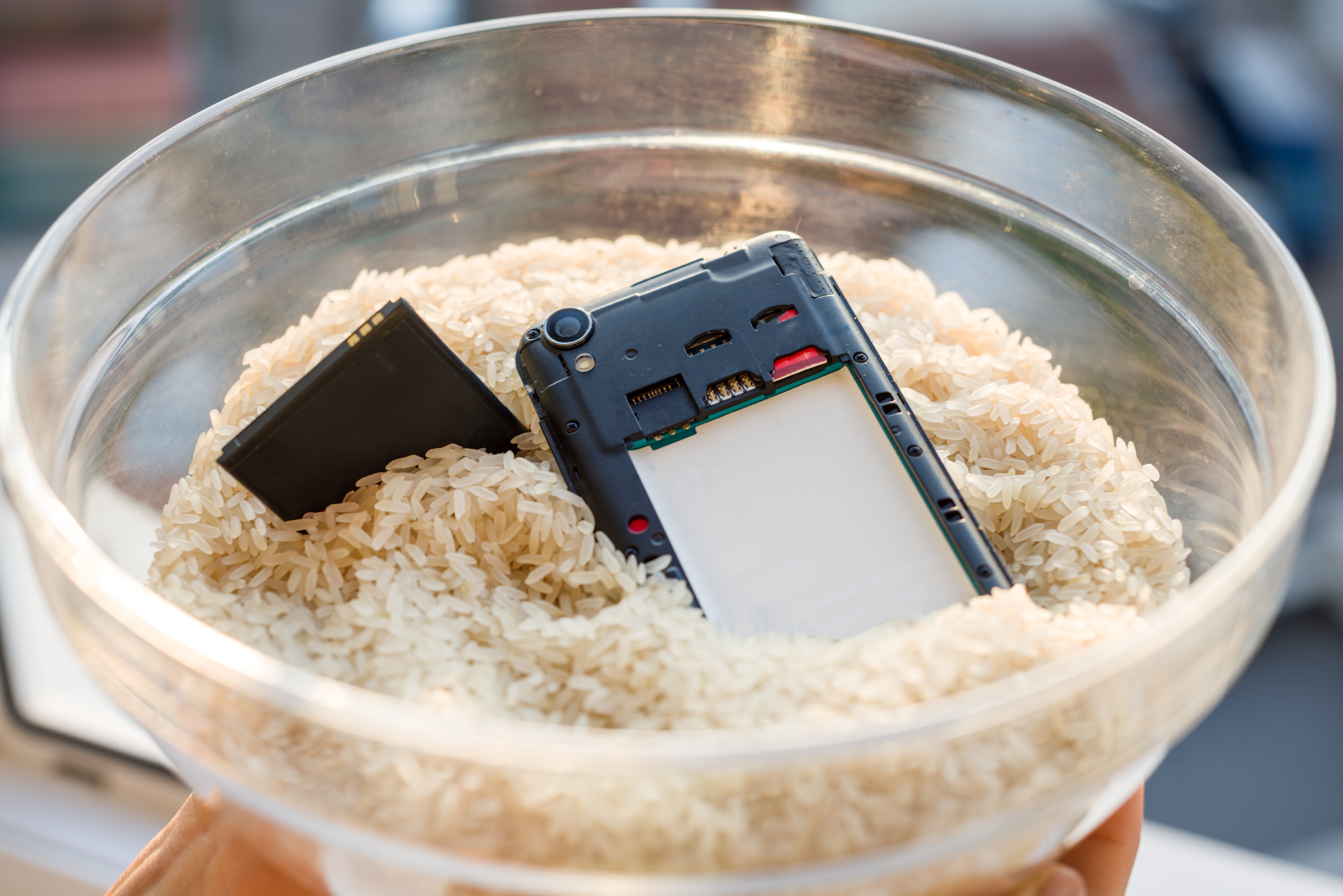 Beyond the plate: surprising uses for rice at home
