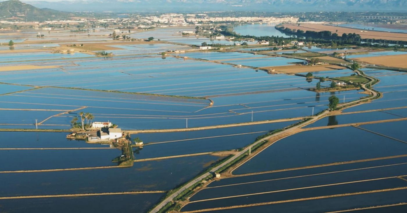 ​Ebro Delta, a paradise of rice and gastronomy
